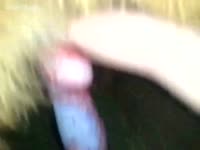A small in number seconds of dog big O